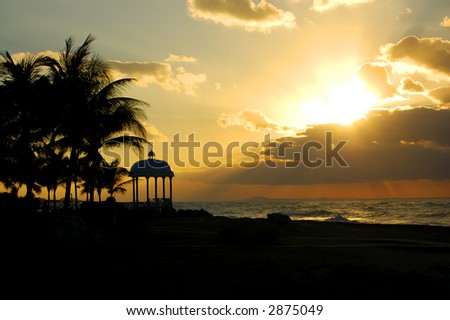 Sunset Beaches With Palm Trees. beach with palm trees and