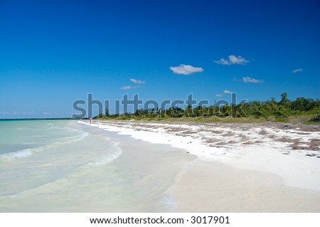 wild beach in a desert island at Caribbean sea