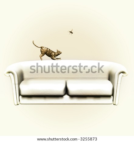 Couch Fly