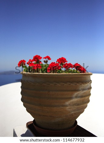 Potted red geranium against a blue sky, Santorini