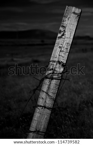 Old wooden post taken in black and white in Iceland