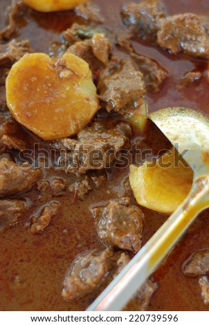 Traditional Malay Beef Curry