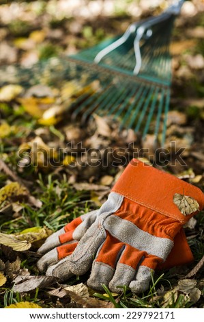 work gloves with a rake in the background