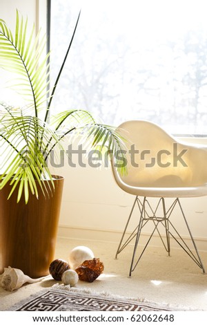 modern chair in a bright and sunny living room