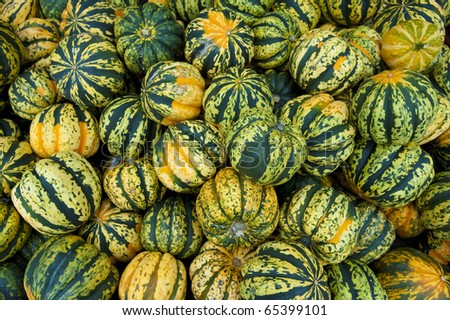 Gourds piled up on top of each other at a farm stand