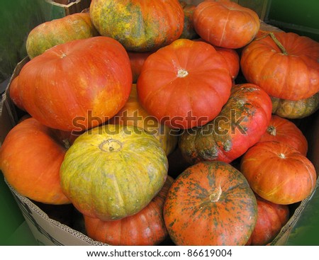 Pumpkins bunched together on a Vermont farm stand