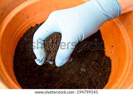 Closeup shot of a human hand pouring ground in a pot.