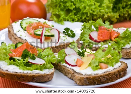 Healthy sandwich - wholewheat bread, vegetables ,white cheese and salmon