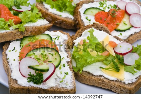 Healthy sandwich - wholewheat bread, vegetables ,white cheese and salmon