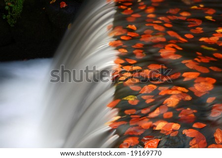 Water flow in autumn scenery - long exposure