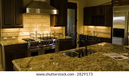 Modern high end kitchen and pantry