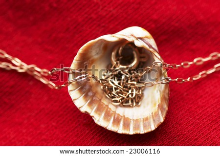 Golden chain in a sea shell