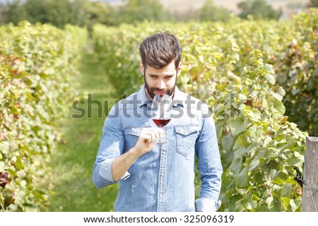 Portrait of young winemaker holding in his hand a glass of red wine and smelling it while standing in vineyards. Small business.