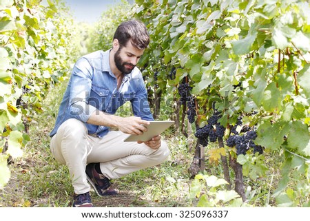 Portrait of young professional winemaker standing between the vines and working online with digital tablet. Family, small business.