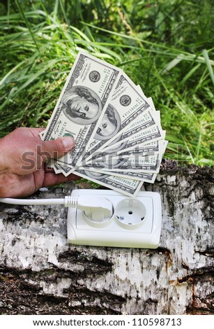 ecological concept, symbolizing the investment in green energy with outlet on a tree