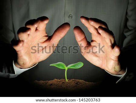 small plant protected hands