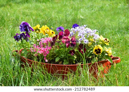 ideas for garden - flowers in old wash-basin