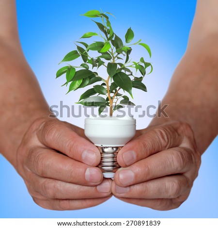 ecological concept, symbolizing renewable energy, bio energy