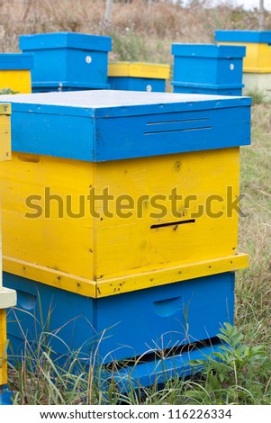 Beehive im rural environment. Late autumn shot.