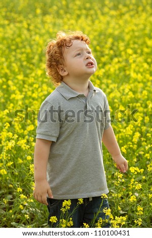 ginger baby boy standing in the field of yellow flowers and watching something up in the sky. outdoor shot