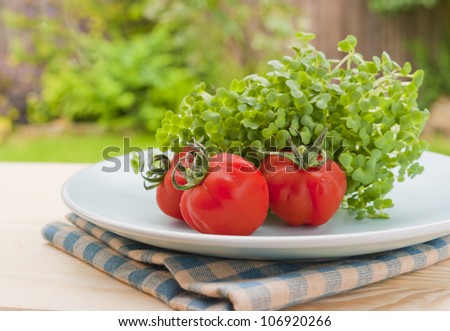 Red tomato and salad cress on a garden table. Concept for outdoor eating, healthy diet and vegetarian food.