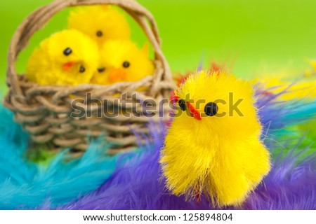Close up of a yellow Easter fluffy chicken toy, small basket with more chickens stands behind him. Colorful feathers as background. Spring or Easter holiday image.