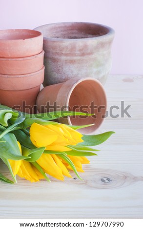 Spring potting and gardening concept. Yellow tulip flowers and collection of terracotta pots ready for potting.