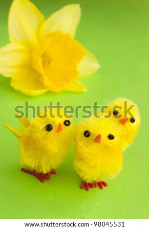 Easter chickens and a flower. Cute and curious yellow fluffy little toy chicks with a daffodil.