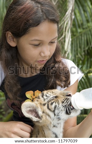 Child feeding baby tiger