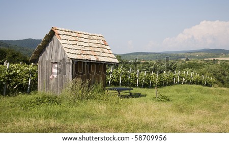 old cabin by vineyard - slovakia