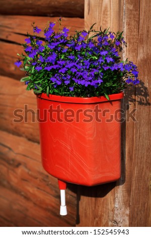 Bouquet of gentle flowers in a red flowerpot