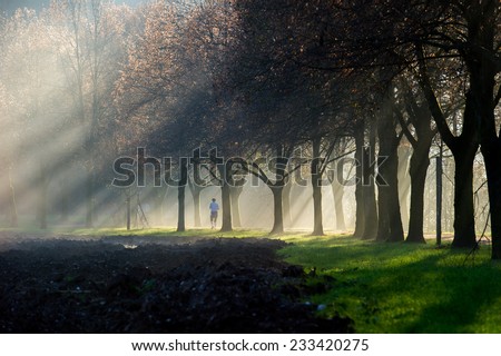 A woman running through a foggy sun ray lit park path. The path is surrounded  by a beautiful avenue of trees.