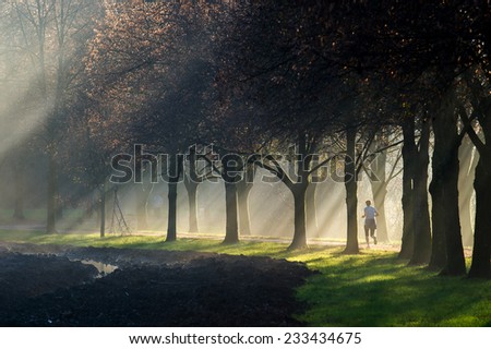 Woman jogging on a sun ray lit park path along the beautiful avenue of trees while the sun rays can be clearly seen through the misty fog.