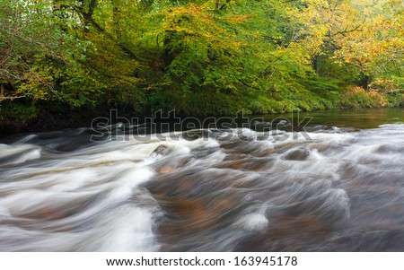 Autumnal River Dart Scene at Newbridge Dartmoor National Park Devon England UK Europe