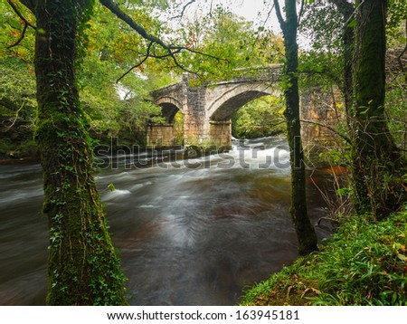 Historic bridge of the River Dart at Newbridge Dartmoor National Park Devon England UK Europe