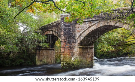 Historic bridge of the River Dart at Newbridge Dartmoor National Park Devon England UK Europe