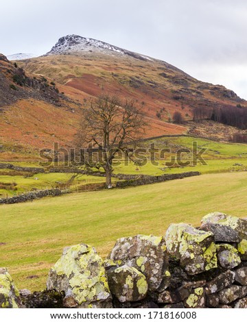 Countryside scenery near Thirlmere reservoir in the English Lake District UK Europe