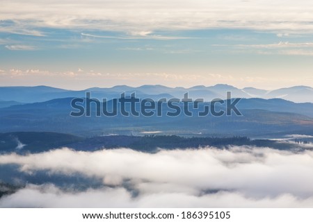 Misty dawn in Hartz Mountains National Park, Tasmania, Australia