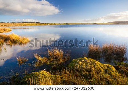Dozmary Pool Lake on Bodmin Moor Cornwall England. laimed to be the home of the Lady of the Lake. According to the legend, where Sir Bedivere threw Excalibur after King Arthur was mortally wounded.