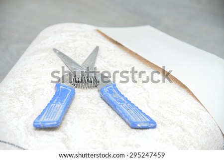 big shears for cutting Wallpaper ( repair of apartments )