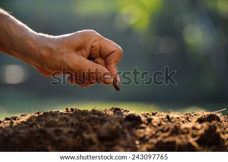 Farmer\'s hand planting a seed in soil