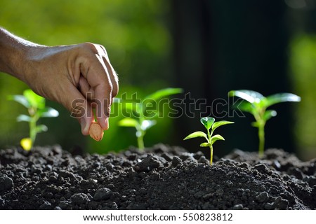 Farmer\'s hand planting a seed in soil
