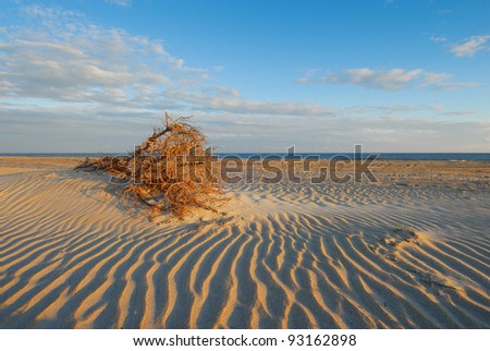 Lonely deserted beach on North Carolina\'s Cape Hatteras National Seashore provides solitude and space for thought