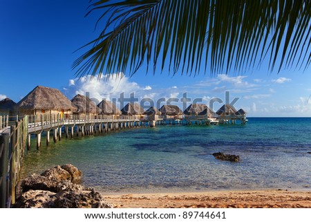 seacoast with palm trees and small houses on water