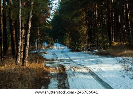 Sunset in a winter forest and road