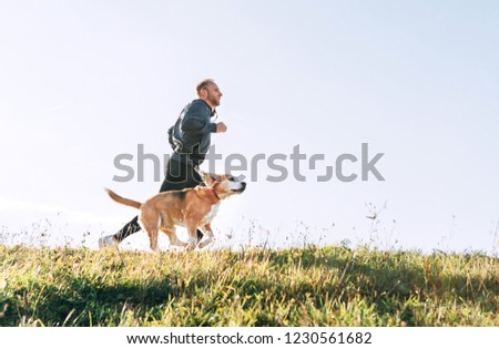 Man runs with his beagle dog. Morning Canicross exercise.