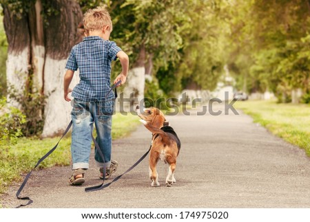 Let\'s play together! Boy walk with beagle puppy