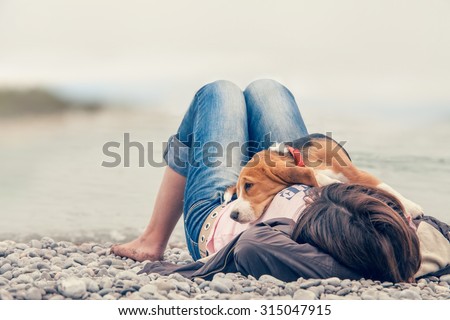 Little beagle puppy lying on his owner chest at the sea side