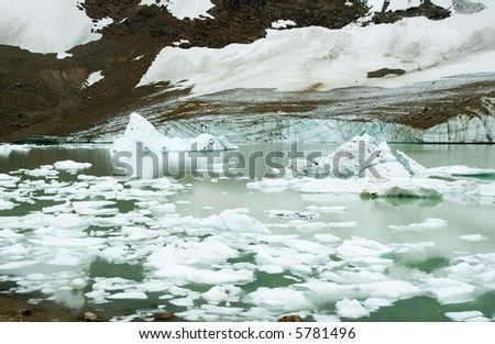 Pool at the base of a glacier with sloughed off pieces of ice floating in the water in Jasper Alberta Canada.