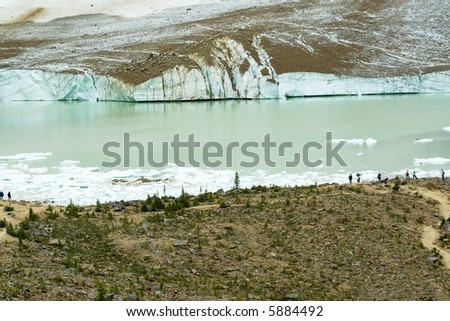 Glacial pool with large chunks of melting ice near Jasper Alberta Canada.